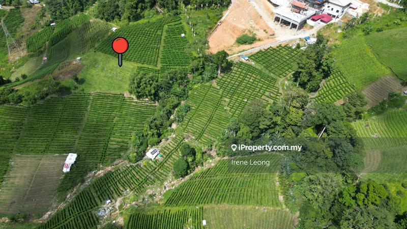 For Sale - Genting Sempah 9-Acres Freehold Agricultural Land For Sale | Genting Highlands, Bentong