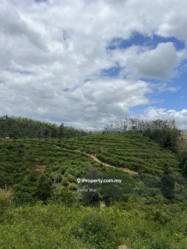 Tanah Pertanian untuk Dijual di Taman Jelebu, Kuala Klawang oleh Janie Wai - iProperty.com.my