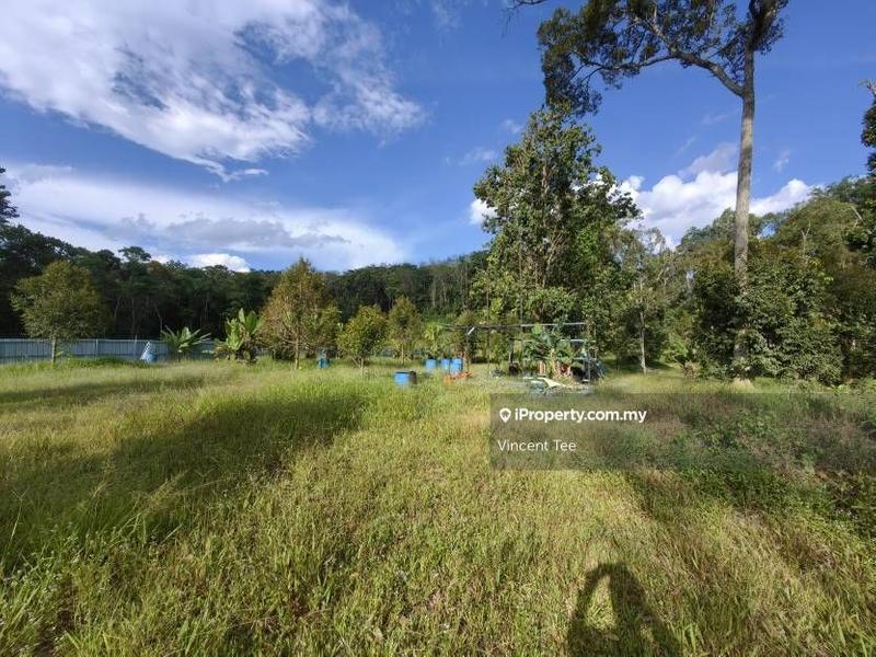 For Sale - 2 Acres Freehold Durian Farm Next to River Padang Tengku Kuala Lipis Raub Bentong