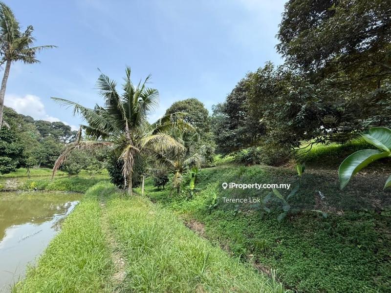 Tanah Pertanian untuk Dijual di Hosapa, Titi oleh Terence Lok - iProperty.com.my