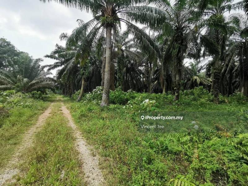 Tanah Pertanian untuk Dijual di Bukit Changgang, Banting oleh Vincent Tee - iProperty.com.my