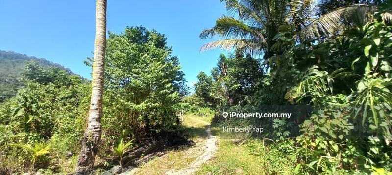 Tanah Pertanian untuk Disewa di Kampung Mantin, Mantin oleh Kimberly Yap - iProperty.com.my