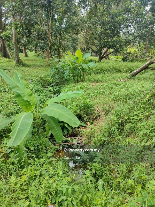 Tanah Pertanian untuk Dijual di Pulau Betong, Balik Pulau oleh Zusain Tan - iProperty.com.my