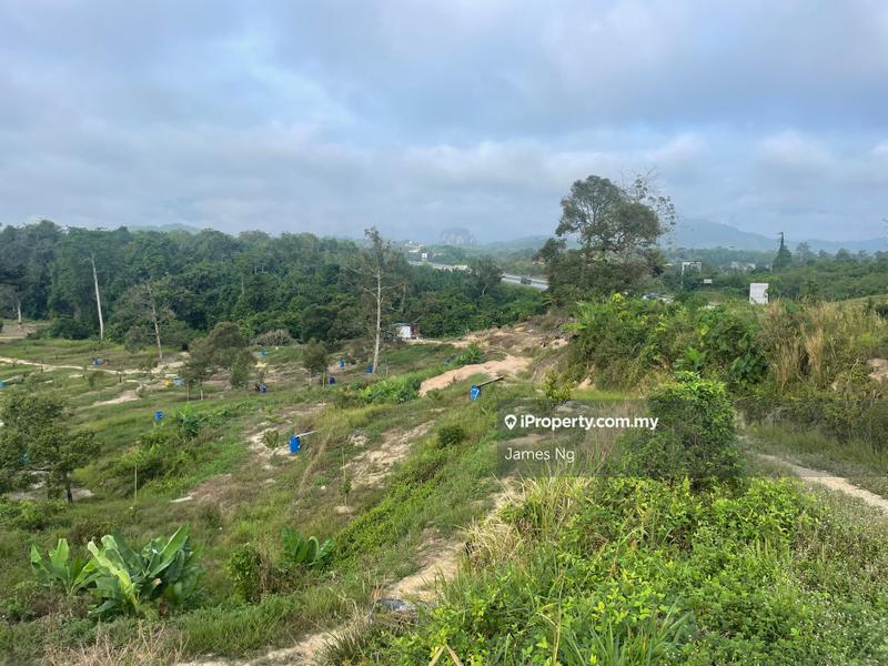 Agricultural Land for Sale in Karak,Pahang, Kuantan by James Ng - iProperty.com.my