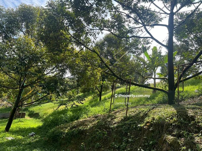 Agricultural Land for Sale in SG.GAPOI, Karak by James Ng - iProperty.com.my