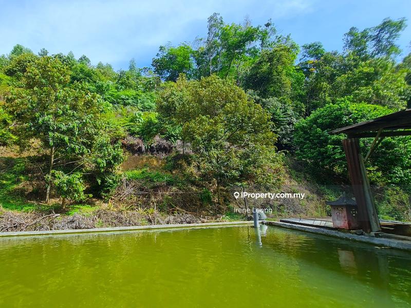Agricultural Land for Sale in Bentong, Pahang by Irene Leong - iProperty.com.my