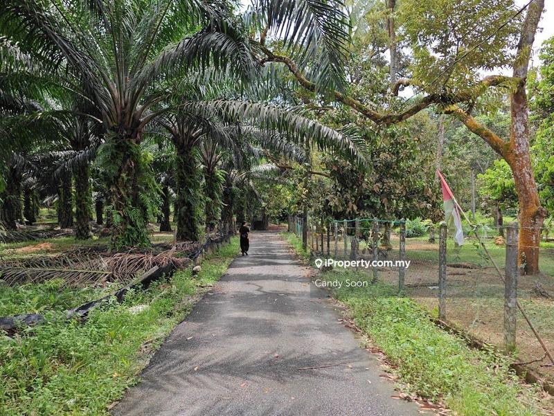 Tanah Pertanian untuk Dijual di Taman Rembau Utama, Rembau oleh Candy Soon - iProperty.com.my