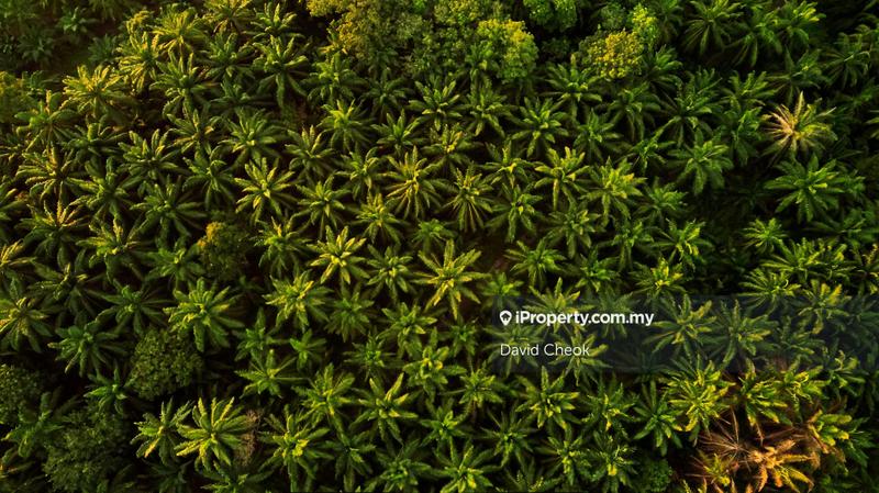 Tanah Pertanian untuk Dijual di Lukut, Port Dickson oleh David Cheok - iProperty.com.my