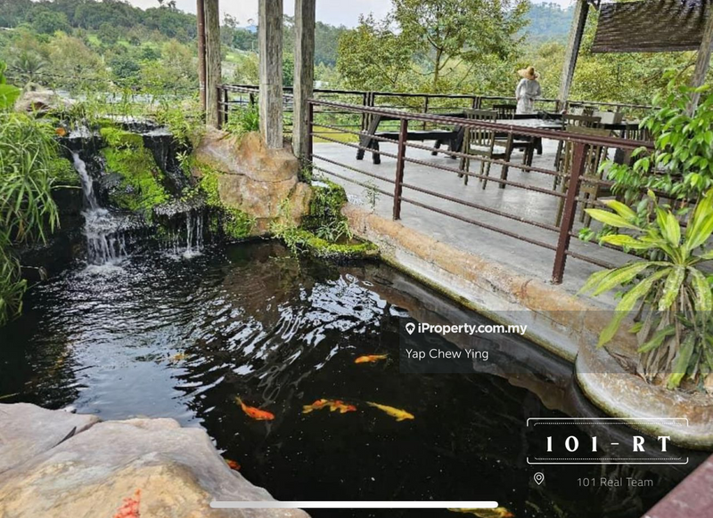 Agricultural Land for Sale in Kampung Sungai Makau, Hulu Langat by Yap Chew Ying - iProperty.com.my