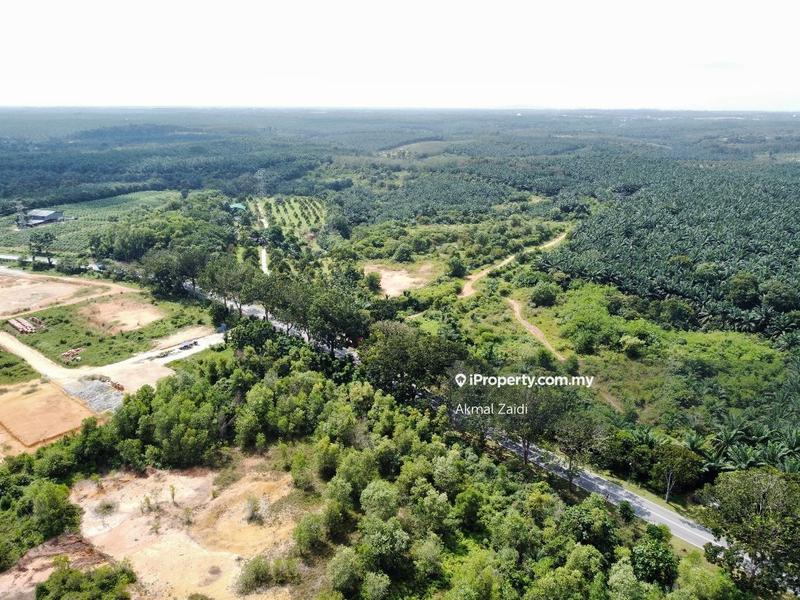 Agricultural Land for Sale in 50 to 100 Acres Near PMU TNB Melaka, Ayer Keroh by Akmal Zaidi - iProperty.com.my