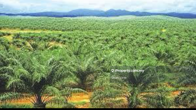 Agricultural Land for Sale in Taman Kluang, Kluang by Sean Liew - iProperty.com.my