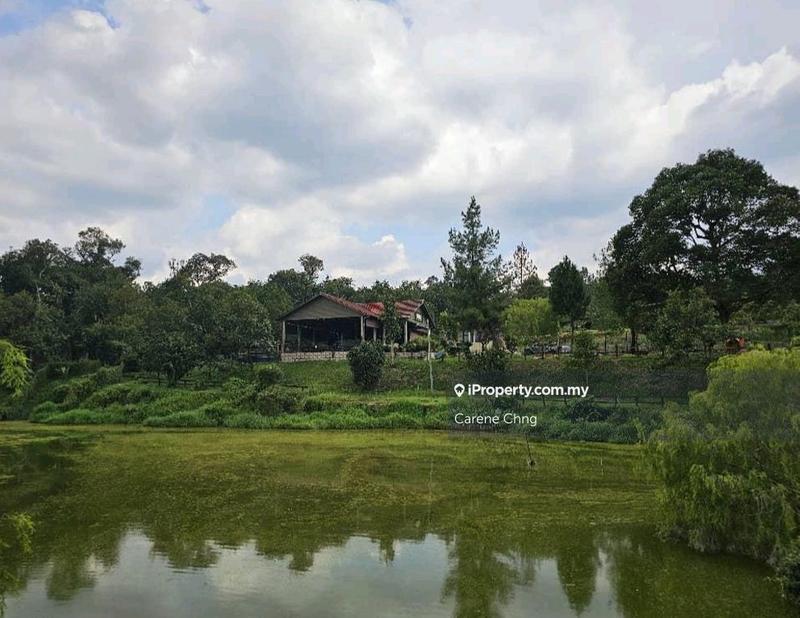Agricultural Land for Sale in Hulu Langat, Selangor by Carene Chng - iProperty.com.my