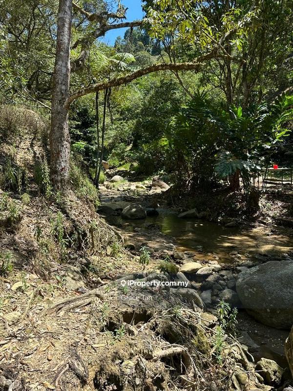 Tanah Pertanian untuk Dijual di Bentong Sang Lee ,Raub, Raub oleh Grace Tan - iProperty.com.my