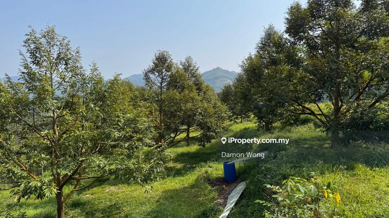 Agricultural Land for Sale in Jalan Tras, Bentong by Damon Wong - iProperty.com.my