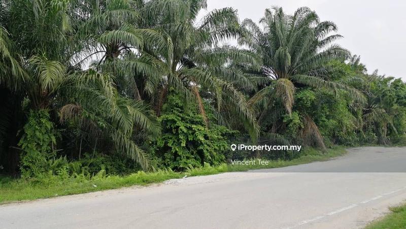 Tanah Pertanian untuk Dijual di Bukit Changgang, Banting oleh Vincent Tee - iProperty.com.my