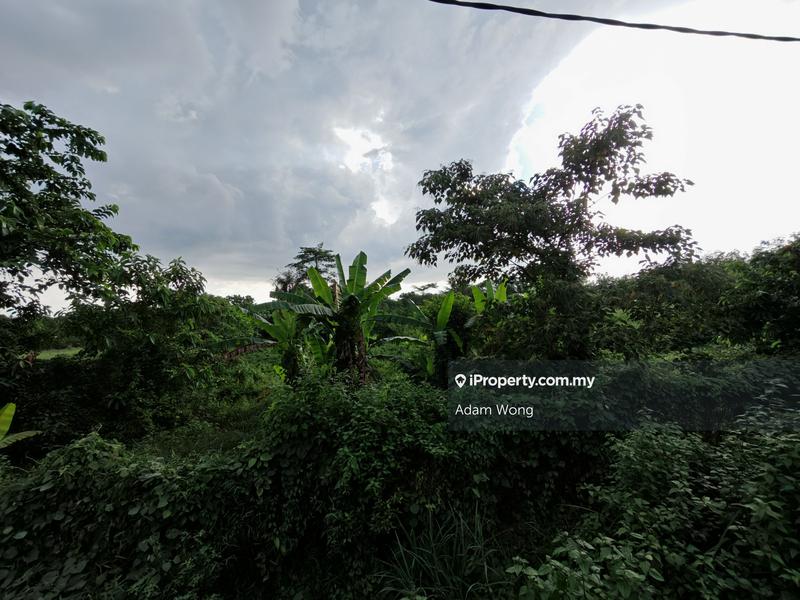 Agricultural Land for Sale in Pokok Sena, Pokok Sena by Adam Wong - iProperty.com.my