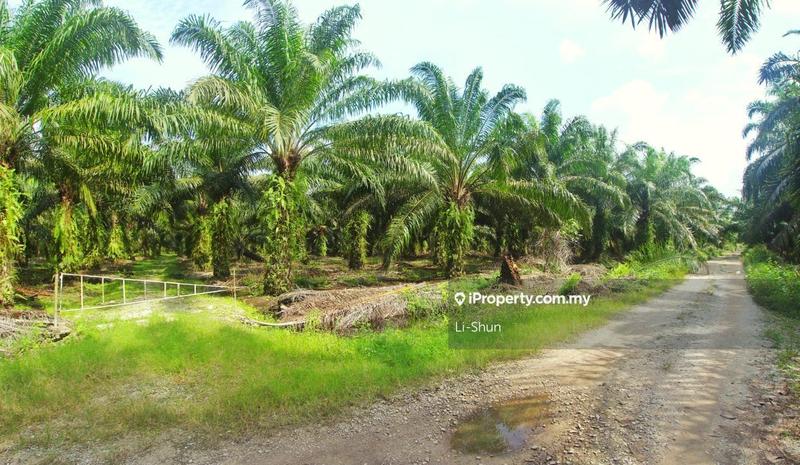 Tanah Pertanian untuk Dijual di Banting, Banting oleh Li-Shun - iProperty.com.my
