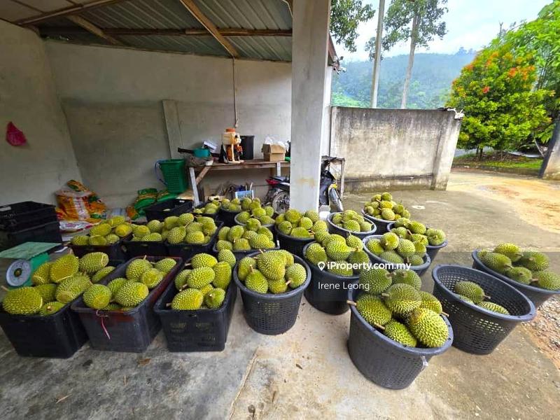 Tanah Pertanian untuk Dijual di Karak, Pahang oleh Irene Leong - iProperty.com.my
