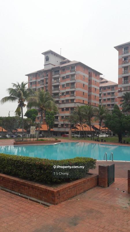 For Sale - Evergreen Park Acorn & Hazel