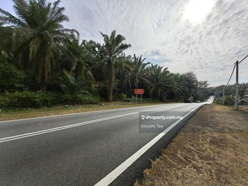 Agricultural Land for Sale in Bandar Mengkuang, Triang by Vincent Tee - iProperty.com.my