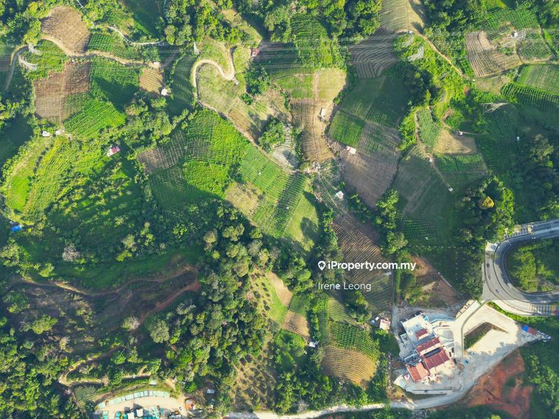 Agricultural Land for Sale in Genting Sempah, Bentong by Irene Leong - iProperty.com.my