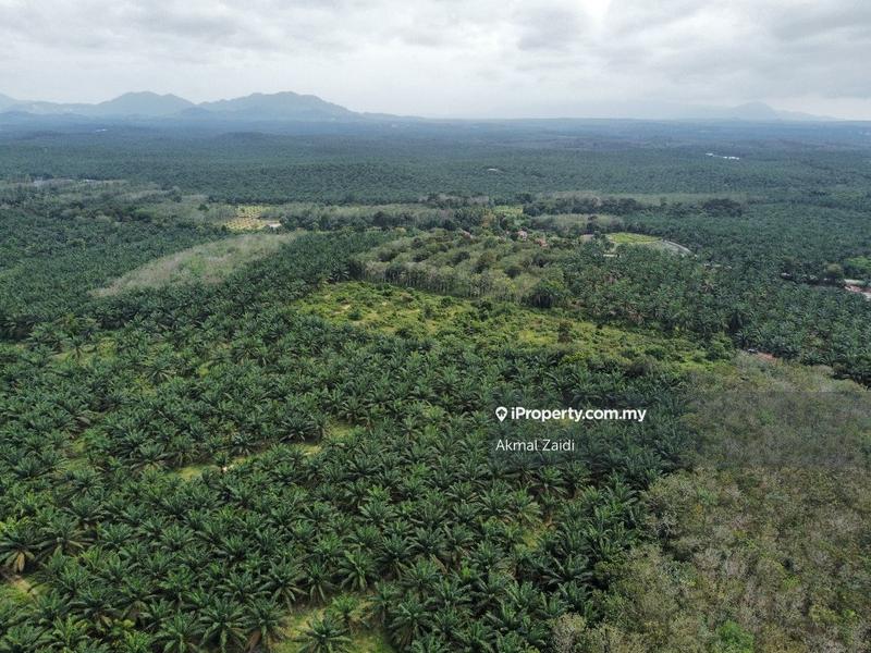 Agricultural Land for Sale in 50 to 100 Acres Near PMU TNB Melaka, Ayer Keroh by Akmal Zaidi - iProperty.com.my
