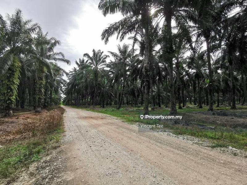 Industrial Land for Sale in Ijok, Kuala Selangor by Vincent Tee - iProperty.com.my