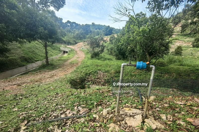 Agricultural Land for Sale in Karak, Pahang by Irene Leong - iProperty.com.my