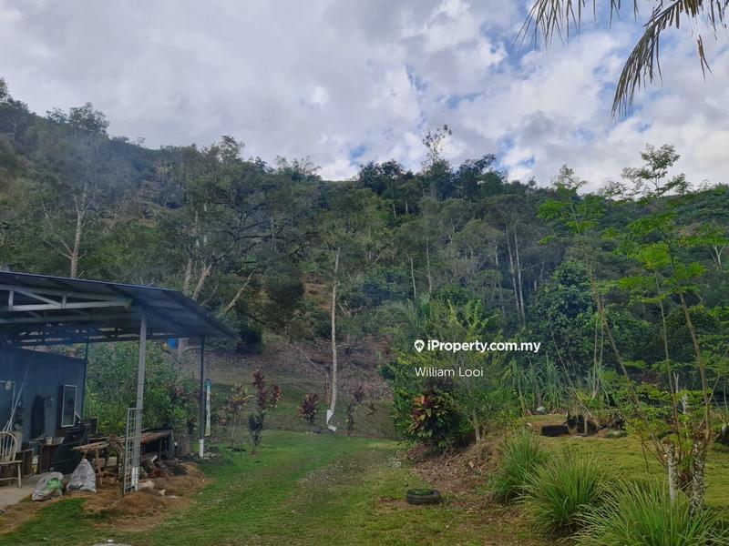 Agricultural Land for Sale in Kampung Tras, Raub by William Looi - iProperty.com.my