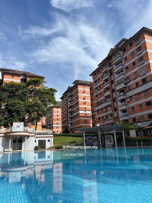 For Sale - Evergreen Park Acorn & Hazel