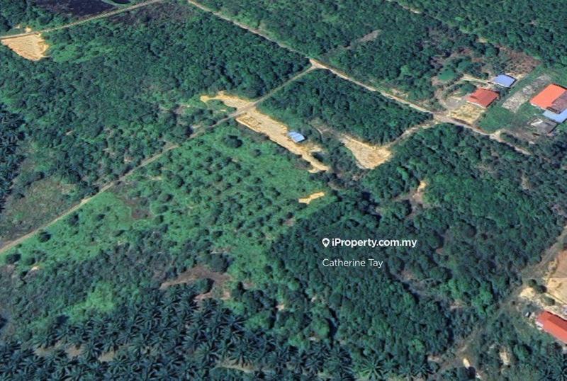 Agricultural Land for Sale in Kampung Bukit Buluh, Pengerang by Catherine Tay - iProperty.com.my