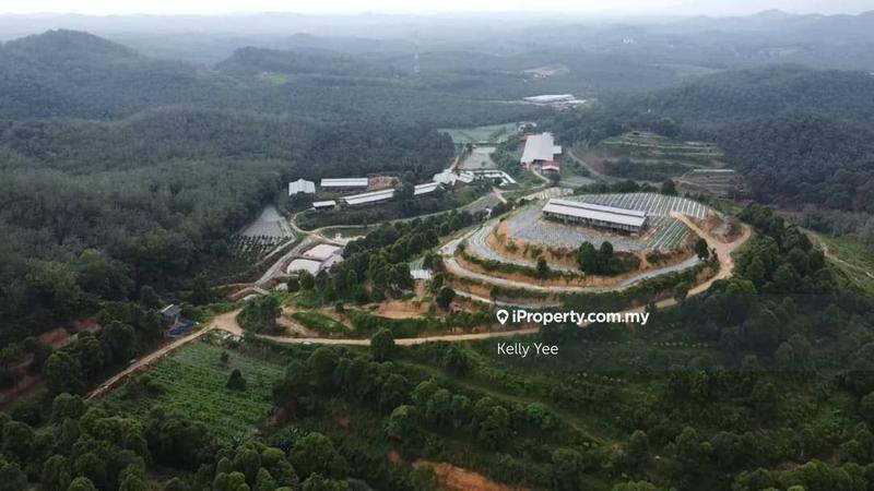 Agricultural Land for Sale in Kampung Legong Jaya, Gadong by Kelly Yee - iProperty.com.my
