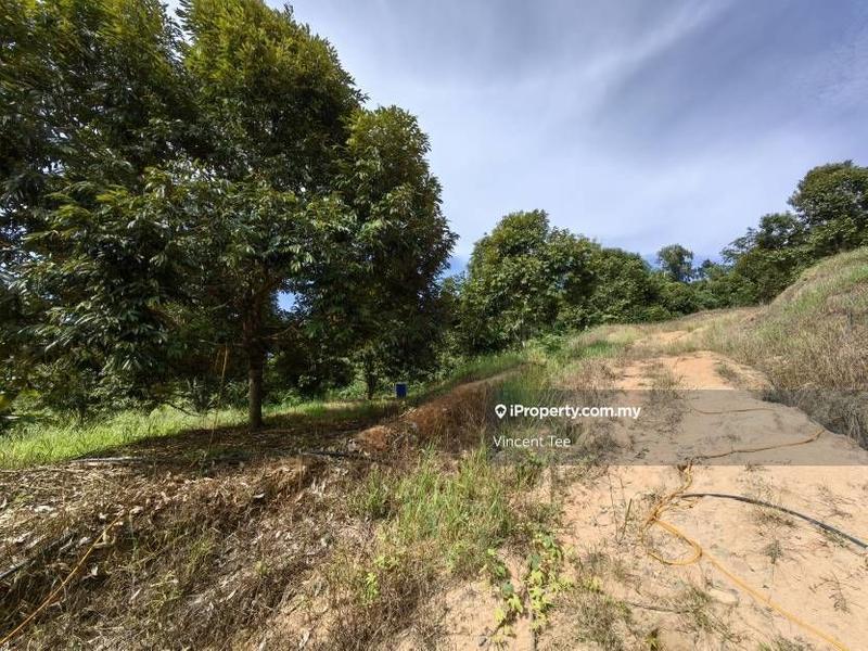 For Sale - 8.5 Acres Freehold Durian Farm Dong Raub