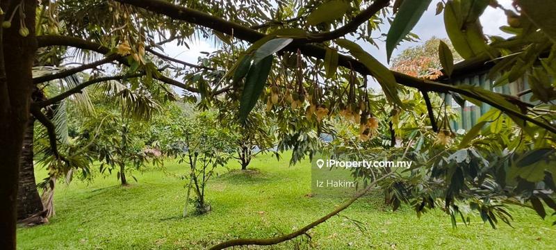 Agricultural Land for Sale in Batang Kali, Selangor by Iz Hakim - iProperty.com.my