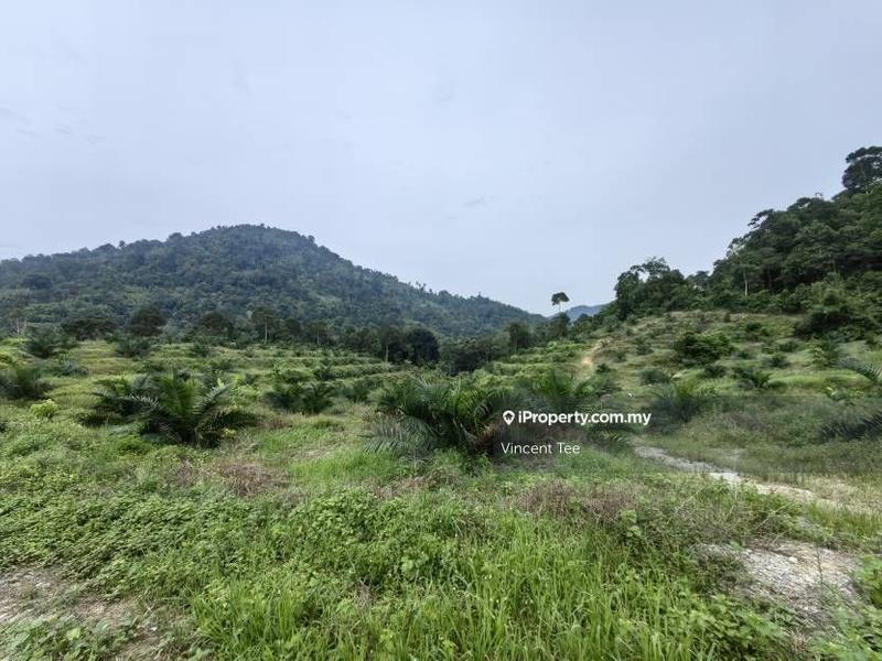 Tanah Pertanian untuk Dijual di Kampung Renal, Kuala Klawang oleh Vincent Tee - iProperty.com.my