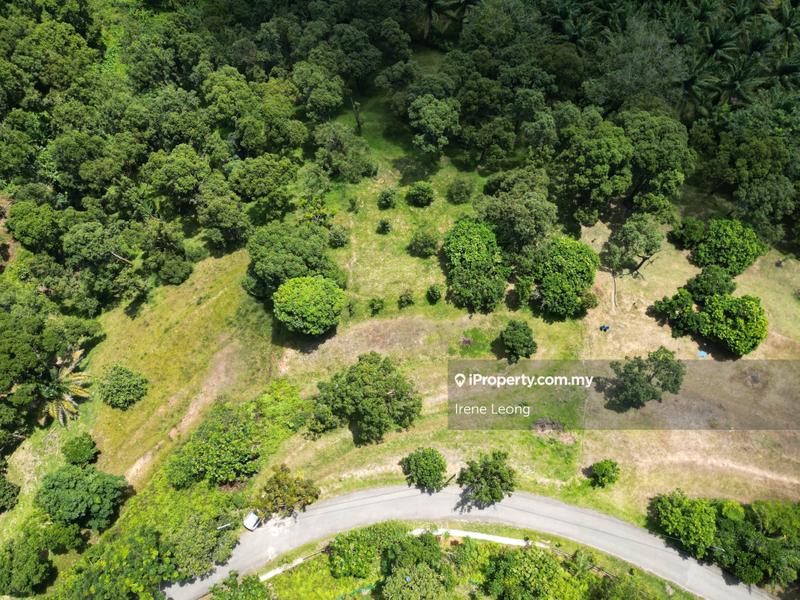 Agricultural Land for Sale in Karak, Pahang by Irene Leong - iProperty.com.my