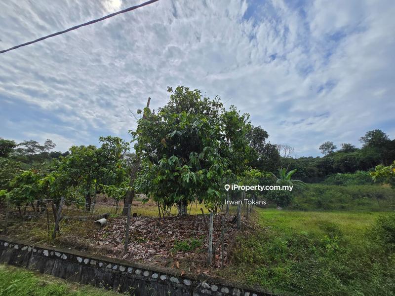 Tanah Kediaman untuk Dijual di Sikamat, Ampangan oleh Irwan Tokans - iProperty.com.my