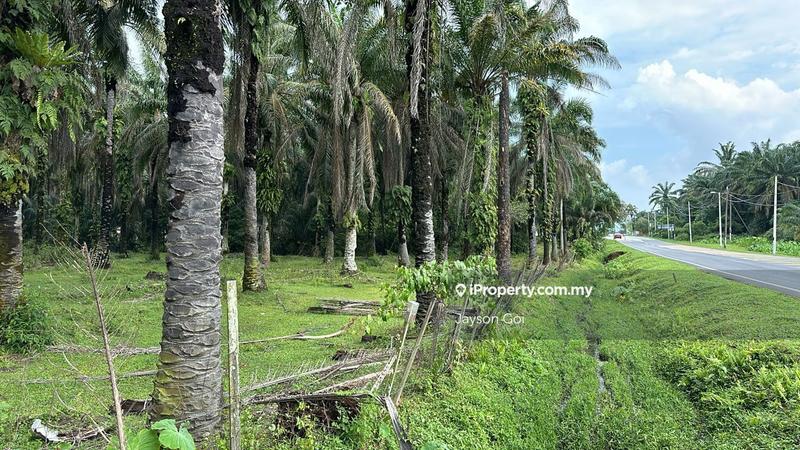 For Sale - Bidor, Perak, Algriculture Land For Sale Freehold