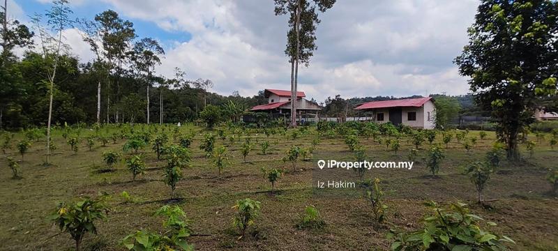 Agricultural Land for Sale in Batang Kali, Selangor by Iz Hakim - iProperty.com.my