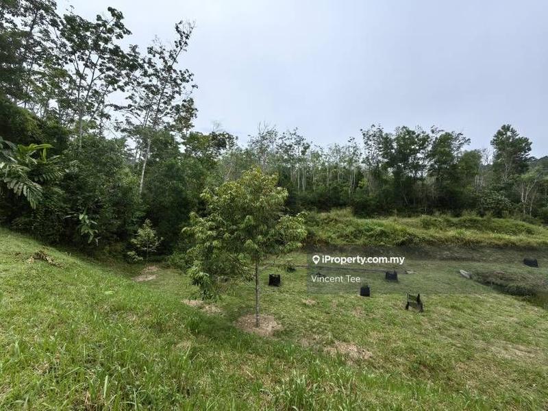 Tanah Pertanian untuk Dijual di Kampung Renal, Kuala Klawang oleh Vincent Tee - iProperty.com.my