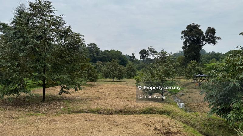 Agricultural Land for Sale in Karak, Karak by Damon Wong - iProperty.com.my