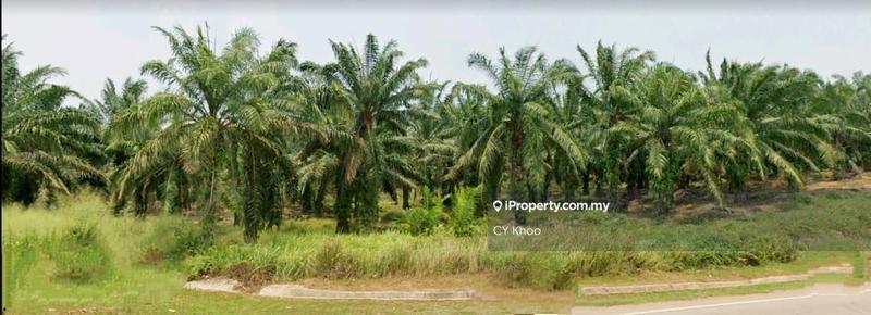 Tanah Pertanian untuk Dijual di Negeri Johor Daerah Segamat Mukim Pogoh, Pogoh oleh CY Khoo - iProperty.com.my