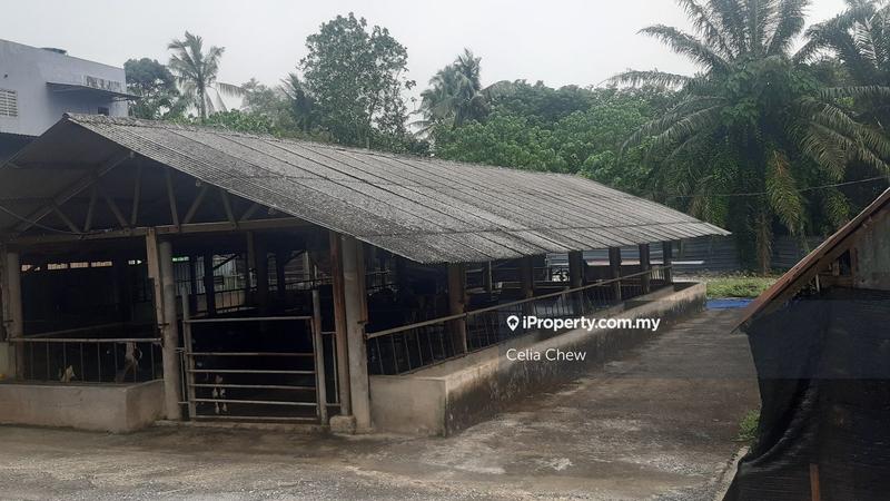 Agricultural Land for Sale in Rumah Burung, Batang Kali by Celia Chew - iProperty.com.my