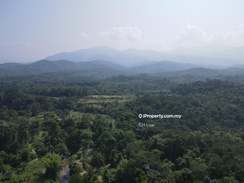 For Sale - Batang Kali Hulu Rening