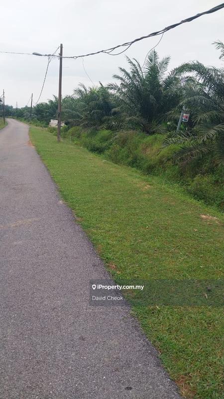 For Sale - Cheap Deal // Existing Palm Oil // Near Kolej Uniti // 60 Acres