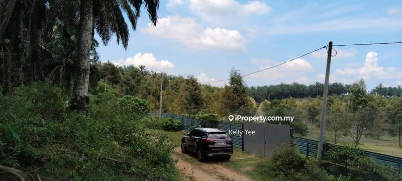 Tanah Pertanian untuk Dijual di Kampung Sungai Terap, Serdang oleh Kelly Yee - iProperty.com.my