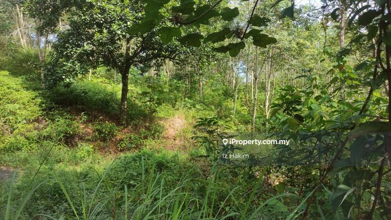 Tanah Pertanian untuk Dijual di hulu rening, Batang Kali oleh Iz Hakim - iProperty.com.my
