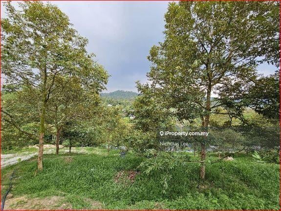 Agricultural Land for Sale in Kampung Sungai Makau, Hulu Langat by Nicholas Lee - iProperty.com.my