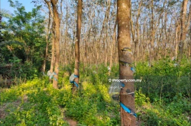 For Sale - Kundang (Industrial zoning) Agricultural Land for Sale!