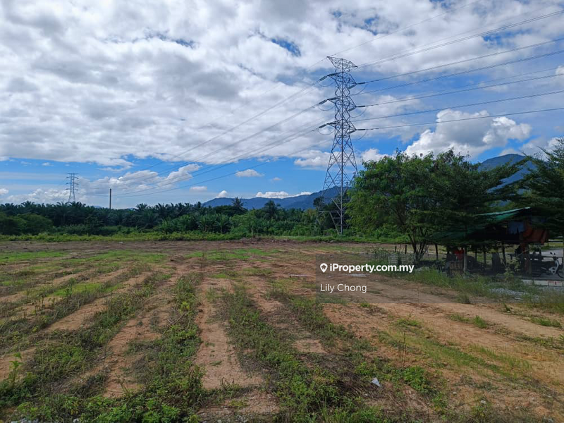 Agricultural Land for Sale in Chemor, Perak by Lily Chong - iProperty.com.my
